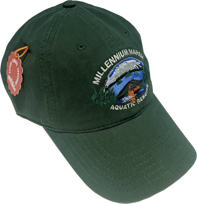 Dark green baseball cap embroidered with an illustration showing a wetland with a canoe in front of Chicago’s Bean, labeled “Millennium Marsh Aquatic Reserve.”